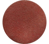 Насадка абразивная TS 38R 125 мм, P120, 5 шт KUSSNER 1050-381212