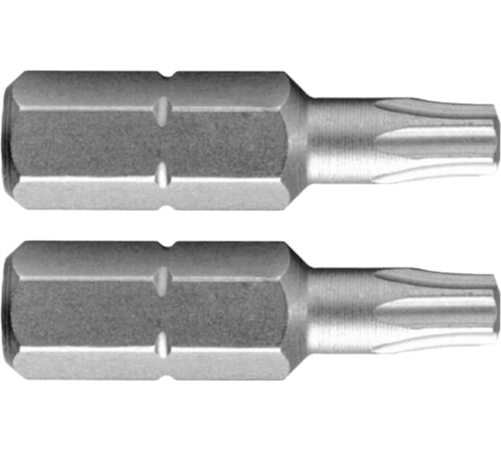 Бита шестигранник Torx T25x25 мм, 25 шт Pro Legend PL4827