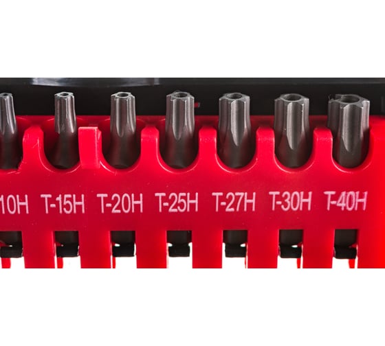Набор бит TORX с отверстием Т7-Т40, 10 шт. FORCE 21012T