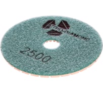 Алмазный гибкий шлифовальный круг TRIO-DIAMOND "Черепашка" 100 мм № 2500 342500