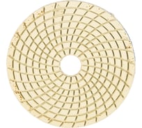 Алмазный гибкий шлифовальный круг TRIO-DIAMOND "Черепашка" 100 мм № 1000 341000