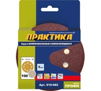 Круг шлифовальный (5 шт; 125 мм; 8 отверстий; P 100) ПРАКТИКА 919-082