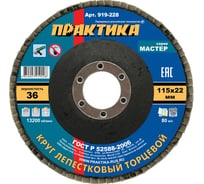 Круг лепестковый шлифовальный (115х22 мм; Р 36) ПРАКТИКА 919-228