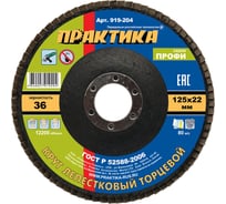 Круг лепестковый шлифовальный (125х22 мм; Р 36) ПРАКТИКА 919-204