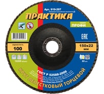 Круг лепестковый шлифовальный (150х22 мм; Р100) ПРАКТИКА 919-297
