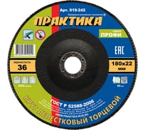 Круг лепестковый шлифовальный (180х22 мм; Р36) ПРАКТИКА 919-242
