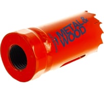 Пила кольцевая биметаллическая (25 мм) Bahco 3830-25-VIP