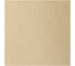 Панель декоративная AEON 100/125 мм, 175x175 мм, пластик DICITI PA4/5 Champagne 1