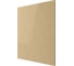 Панель декоративная AEON 100/125 мм, 175x175 мм, пластик DICITI PA4/5 Champagne 3