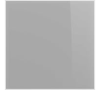 Панель декоративная AEON 100/125 мм, 179x179 мм, стекло Lacobel DICITI PAGL4/5 Silver Clear