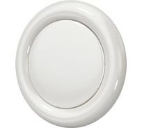 Анемостат ERA DVM фланец D148 D202 окраш.сталь 15DVM