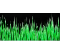 Стекло для вытяжки Berford 60 с декором Трава MAUNFELD BERFORD 60 Glass Grass (PL)