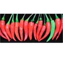 Стекло для вытяжки Berford 60 с декором Перцы MAUNFELD BERFORD 60 Glass Peppers (PL)