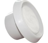 Анемостат приточно-вытяжной с фланцем 100 мм ВИЕНТО 100АПВФ