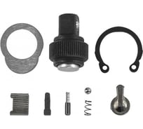 Ремонтный комплект для рукоятки трещоточной R6802, 1/4"DR, 60 зубцов Jonnesway R6802RK 46031