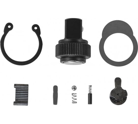 Ремонтный комплект для рукоятки трещоточной R6804, 1/2"DR, 60 зубцов Jonnesway R6804RK 46033 1