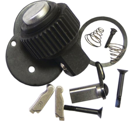 Ремкомплект для трещоток 1/4", 72-зуба AIST 22013-72 00-00011231