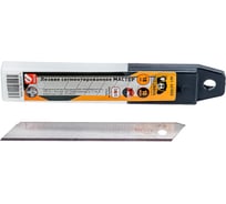 Лезвие сегментированное РОСОМАХА МАСТЕР (SK-5, 18х0.6 мм, 10 шт) 661800