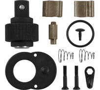 Ремонтный комплект для рукоятки трещоточной 3/8"DR, 72 зубца Ombra 283802RK 55709