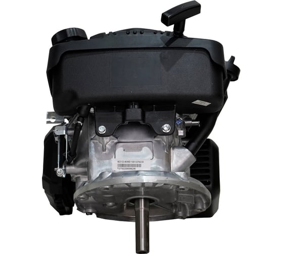 Двигатель LC1P65FE-2 F type D22.2 (для газонокосилок, с дин. торм.) Loncin 00-00158672