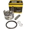 Поршень Champion-Сервис 60х46 1,5х1,5х2,5 GX120 комплект ( G120F) PRO 1500004 1