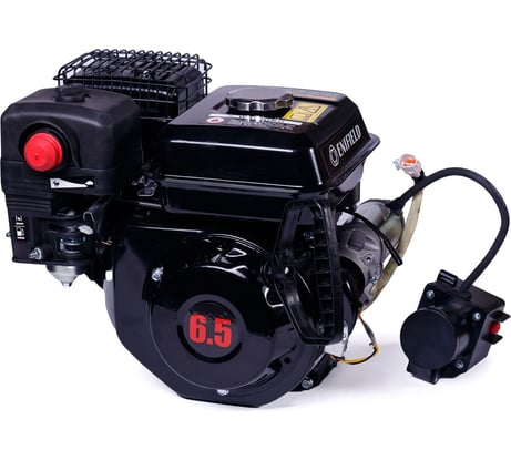 Двигатель для снегоуборщиков DBG 6519 ENB ENIFIELD EN DBG 6519 ENB