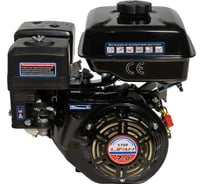 Двигатель LIFAN 170F D19 (увеличенный б/бак 6 л) 00-00004754