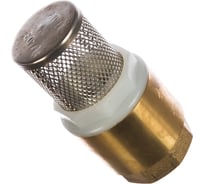 Обратный клапан с фильтром 1" Gespasa 805600003