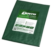 Тент Тарпаулин Строй-АгроДоступ TENTA 90 г/м2 6х10 м 90*6х10м