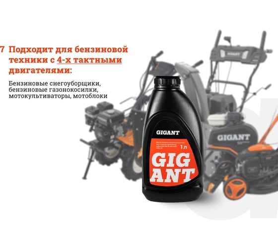 Масло 4-х тактное 5W30 1 л Gigant GDEL-07