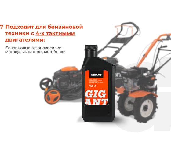 Масло 4-х тактное 10W30 0.6 л Gigant GDEL-04