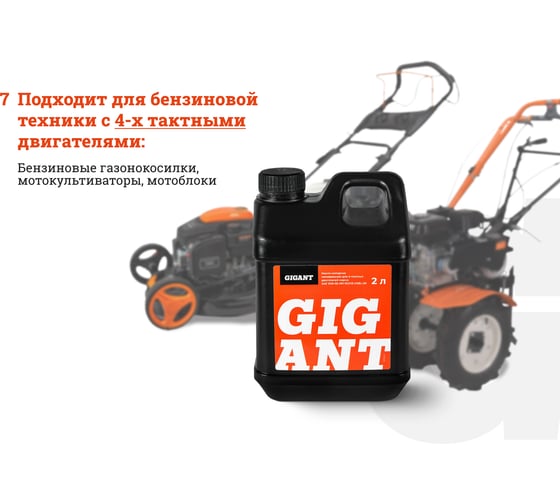 Масло 4-х тактное 10W30 2 л Gigant GDEL-05