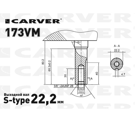 Двигатель 173VМ (4.9 л.с.верт. вал d=22, V173 см3, для газонокосилки) CARVER 01.025.00072