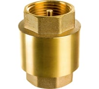 Клапан обратный VR 1" Pedrollo 50112