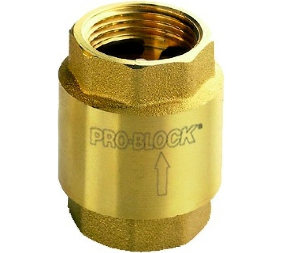 Клапан обратный VR 1 1/4" Pedrollo 50113