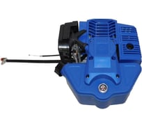 Двигатель бензиновый 1E44F TSS-GJH95 (№1)/Gasoline engine TSS-GJH95 (JH95A,№1) ТСС 022770