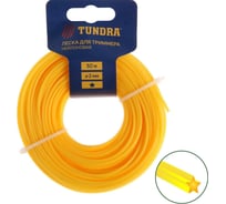 Леска (50 м; 2 мм; сечение звезда; нейлон) для триммера TUNDRA 5443138