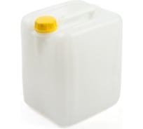 Канистра Евро ТНП 5 л Радиан 4607168313100