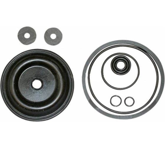 Набор уплотнений VITON 475 SOLO 49579 1