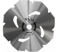 Нож для мотокосы TUSCAR BB0175, Professional, 255x25.4x1.4x8T, Top Grass 1030175712-8-2