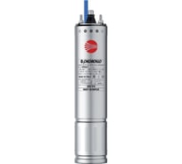 Электродвигатель PEDROLLO 4PD 3 4ZPC30A