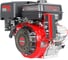 Двигатель GARDEN BS-192FD/25D, VERTON 01.9668.10601 2