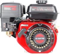 Двигатель VERTON GARDEN BS-168F/20D 01.5985.6349