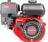 Двигатель VERTON GARDEN BS-170F/20D 01.5985.6351 1