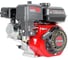 Двигатель VERTON GARDEN BS-170F/20D 01.5985.6351 2