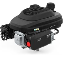 Двигатель бензиновый EVOline XP 200 A (D 22,2 мм, L 80 мм) (Zongshen) 1T90QC200EVO