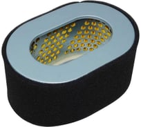 Фильтр воздушный (элемент) ТСС SDG 6500EHA,192FE (овальный,143x98x72мм) Sh / Air filter element (TSS SDG6500EHA-SP-3-6-7) 041128