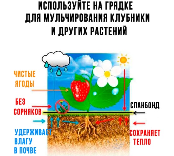 Укрывной материал ГеоПластБорд спанбонд суф 60 32x10 м цвет белый SPBWT60