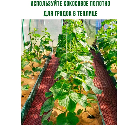 Кокосовая мульча для сада и грядок ГеоПластБорд 0.2х1,5 метра укрывной материал 71100