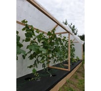 Укрывной материал (3.20х10 м) Агротекс 32.01.00.03.01.110.0010.3200.00